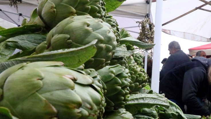 Alaçatı Ot Festivali başladı