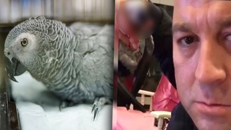 Papağanı öldüren Murat Özdemir'e para cezası