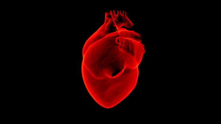 Genetik bilimciler, kalp krizi riskini azaltmayı amaçlıyor