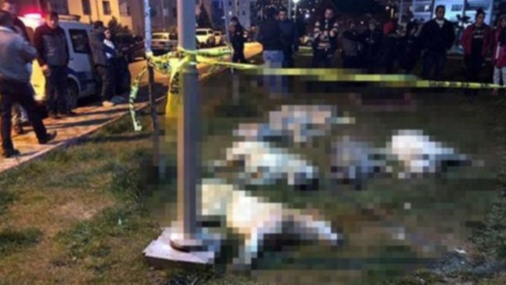 ‘Köpek katliamı’ davasında belediye müşteki sıfatıyla çağrıldı