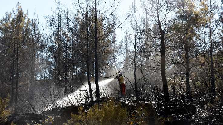 Alanya'da orman yangını 