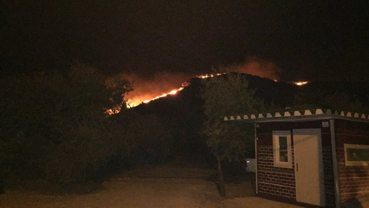 Muğla'nın Datça ilçesinde orman yangını