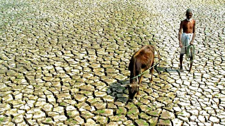 Hindistan kuraklıkla boğuşuyor: 5 yılda 4 bin 700 çiftçi intihar etti