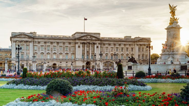 Buckingham Sarayı'nı fareler bastı