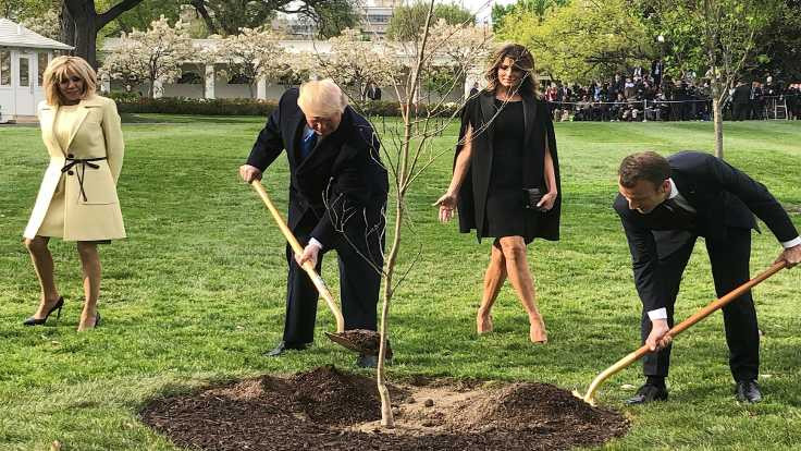 Macron ve Trump'ın dostluk ağacı karantinada öldü!