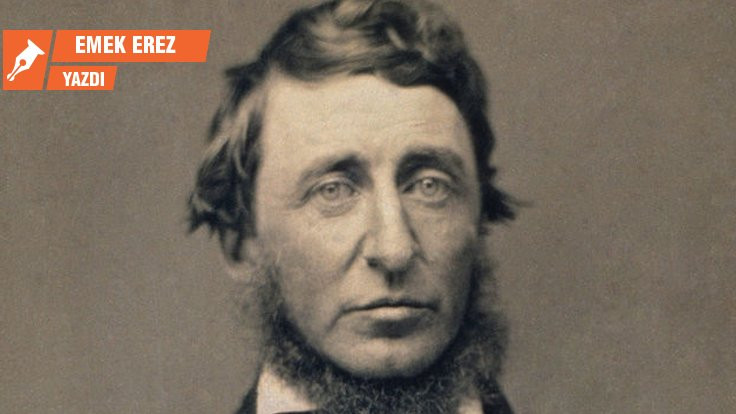Thoreau ile yabanıl yollarda...