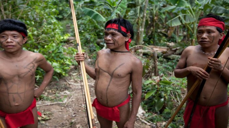 Altın madencileri Amazon'da bir kabileye saldırdı