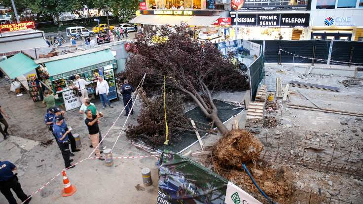 Kızılay'da ağaç devrildi: 3 yaralı