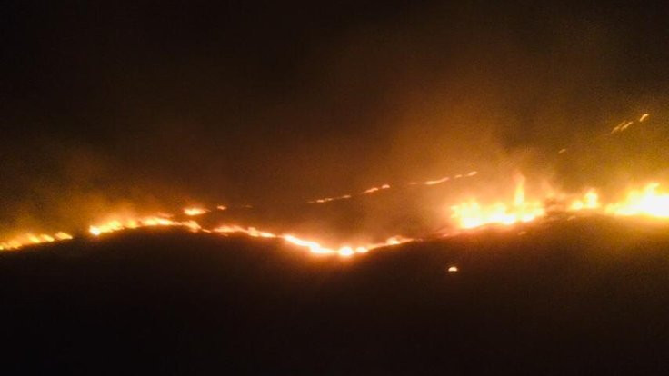 Diyarbakır'da yangın: 17 bin dönümlük alan zarar gördü