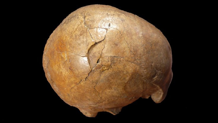 33 bin yıllık cinayetin sırrı çözüldü