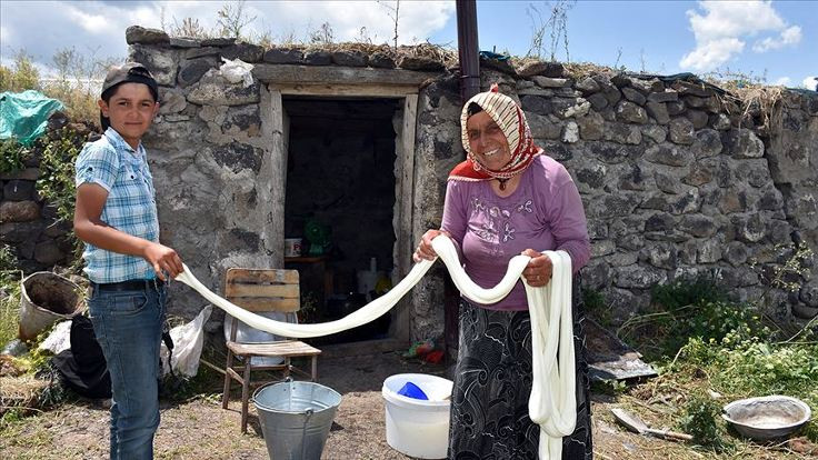 Kars yaylalarında 'çeçil peyniri' hazırlığı