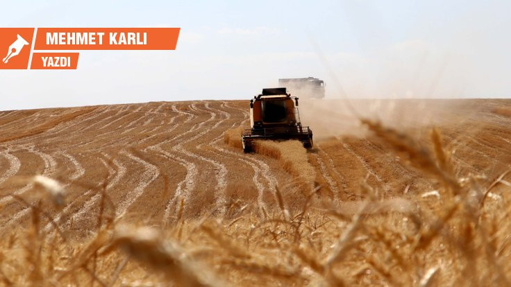 Türkiye'nin tarımı: Çiftçilerimizin çoğu icralık