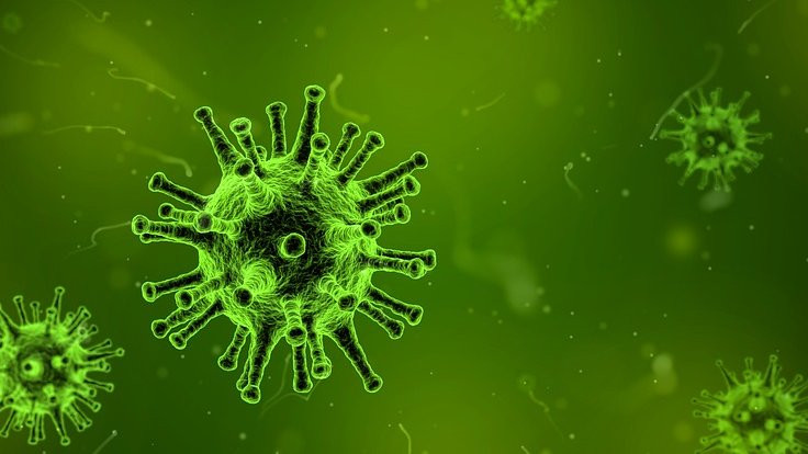 İstanbul'da 4 kişide Batı Nil Virüsü tespit edildi