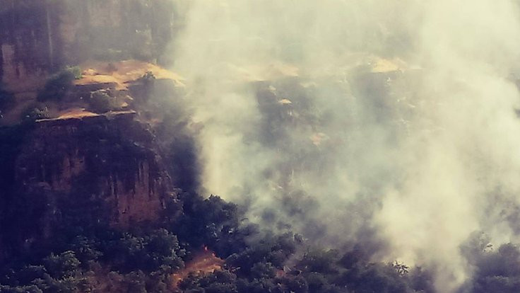 Elo Dîno Kasrı yakınındaki orman yangını büyüyor