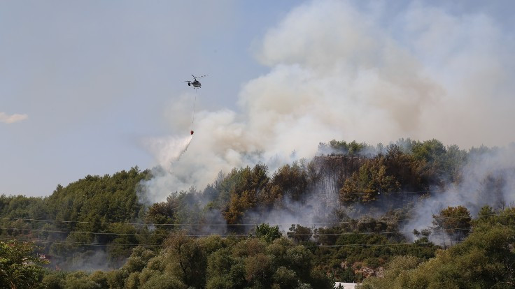 Muğla ve Antalya'da orman yangınları
