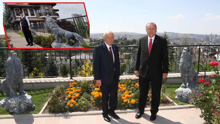 Erdoğan Bahçeli'ye fotoğraf için gitmiş