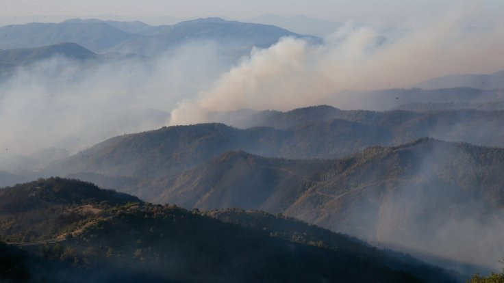 İzmir'de 500 hektarlık orman yangını