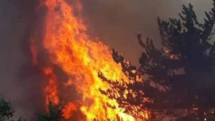 Kütahya'da orman yangını kontrol altına alındı