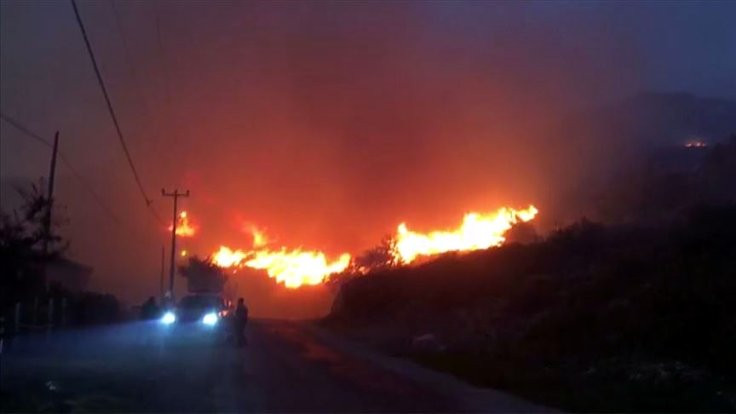 Marmara Adası'nda yangın kontrol altına alındı