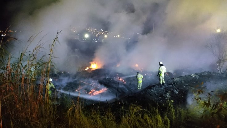 İzmir'de sazlık alanda yangın