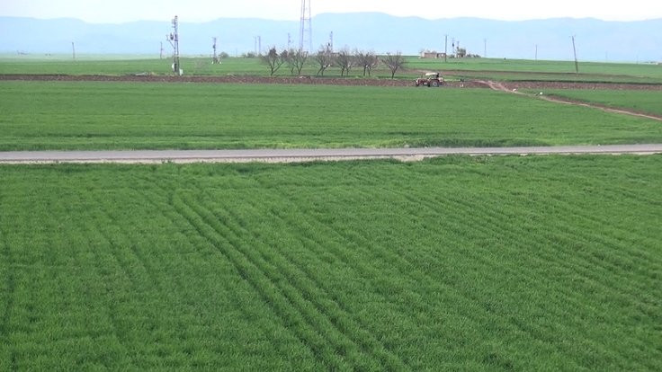 HDP'li Çelik Mardin'in tarım arazilerini sordu