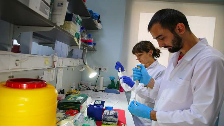 Türkiye'den bilim insanları 4 ölümcül virüs buldu