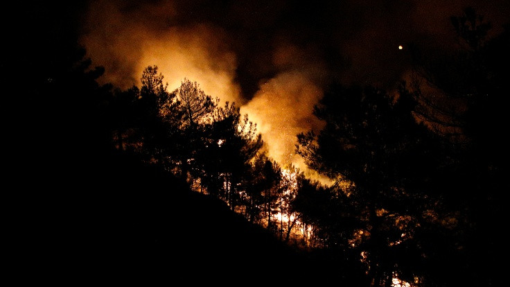 Hatay'da 25 farklı noktada orman yangını çıktı
