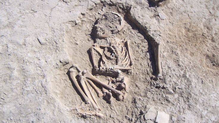 Malatya'da 5 bin 700 yıllık çocuk iskeleti bulundu - Sayfa 4
