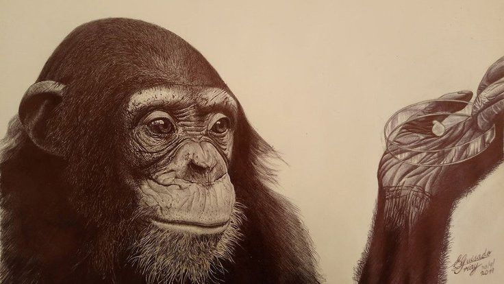 İnsan beyninin gelişimi diğer primatlardan nasıl ayrıldı?