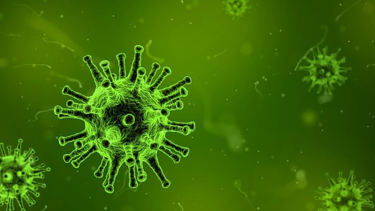 Bakan Koca: Grip antibiyotikle geçmez