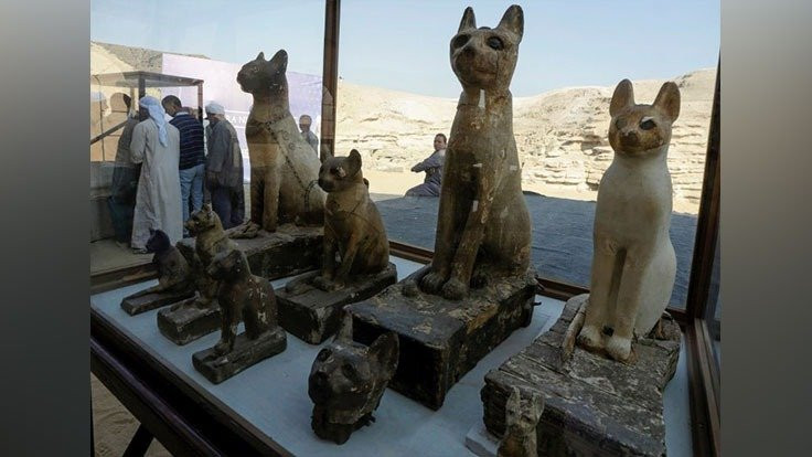 Mısır'da hayvan mumyaları sergileniyor
