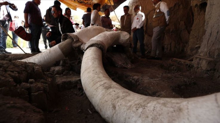 15 bin yıllık mamut tuzakları bulundu