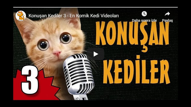 Konuşan Kediler ve Güldür Güldür Youtube'un zirvesinde! - Sayfa 2