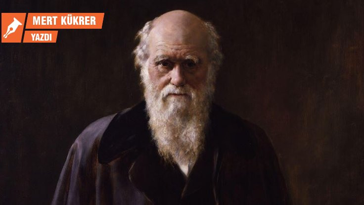 Botanikçi Darwin ile tanışma fırsatı