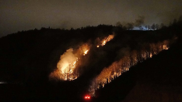 Trabzon'da 100 dönümlük alanda örtü yangını çıktı