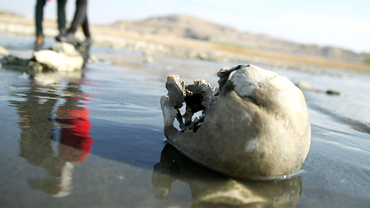 Van Gölü'ndeki kemikler inceleniyor
