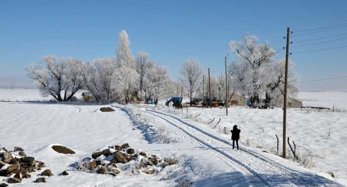 Doğu Anadolu'da hava buz kesti