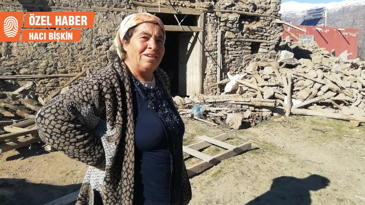 'Köylülerin teyzesi' borçla aldığı ineğini depremde kaybetti