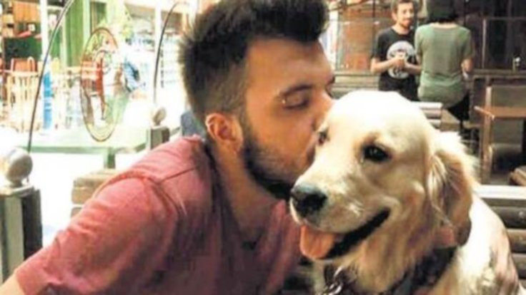 Mahkeme kararını verdi: Paylaşılamayan köpek Marley, erkek tarafında kaldı