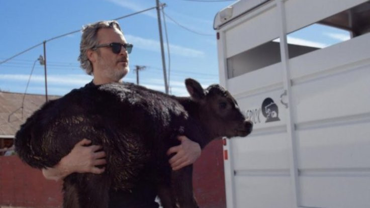 Joaquin Phoenix'ten hayvan hislerini anlatan film
