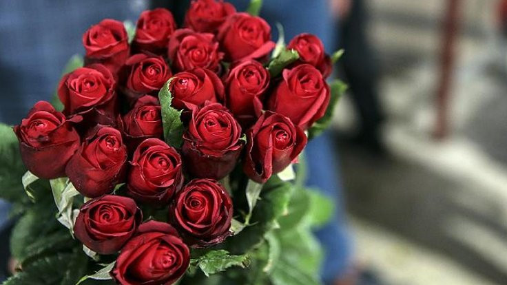 Gül fiyatına Sevgililer Günü zammı: Dalı 5 liradan 12 liraya çıktı