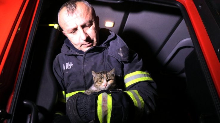 Yavru kedi yangından kurtarıldı