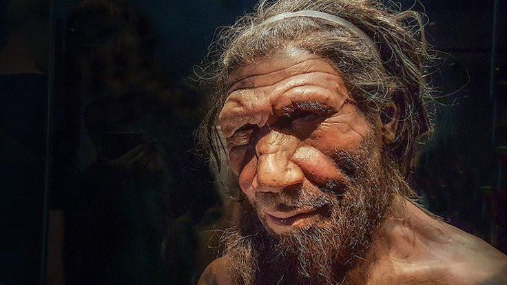 Neandertallerle yeni akrabalık