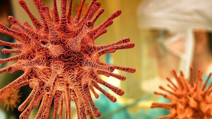 Yarasalardan insan ciğerlerine korona virüsünün evrimi
