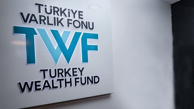 TVF kamuya ait sigorta şirketlerini aldı