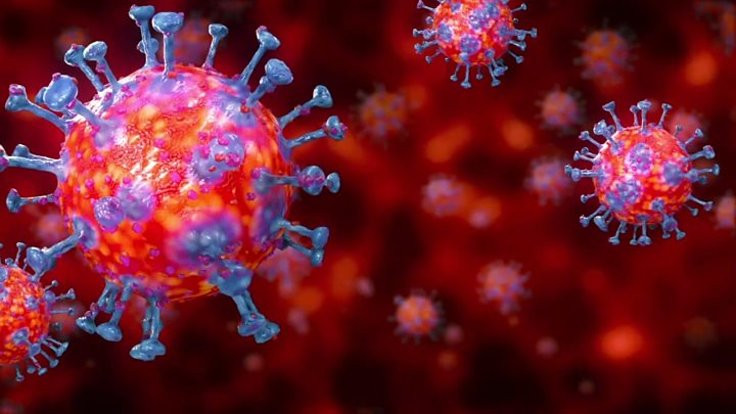 İsrail: Virüsü izole eden antikor geliştirdik