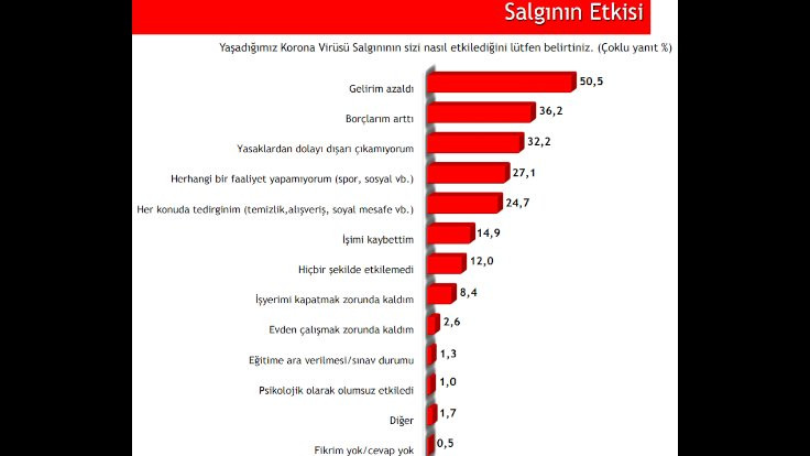 Koronada Türkiye: Yüzde 50'nin geliri azaldı - Sayfa 2