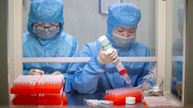 Wuhan'daki laboratuvar hakkında neler biliniyor?