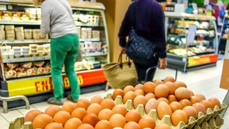 Fransa'da 'zehirli' yumurta paniği