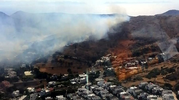 Bodrum'da makilik ve otluk alanda yangın